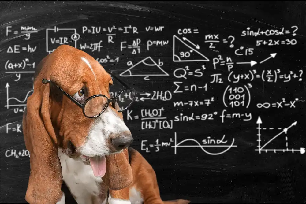Dog Tricks - a dog wearing glasses while solving math equations on the blackboard